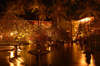 Melia Bali - The Garden Villas 